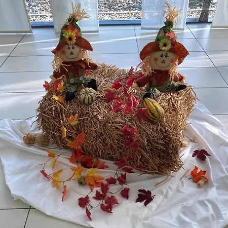 Qualitel Hilpoltstein 3*